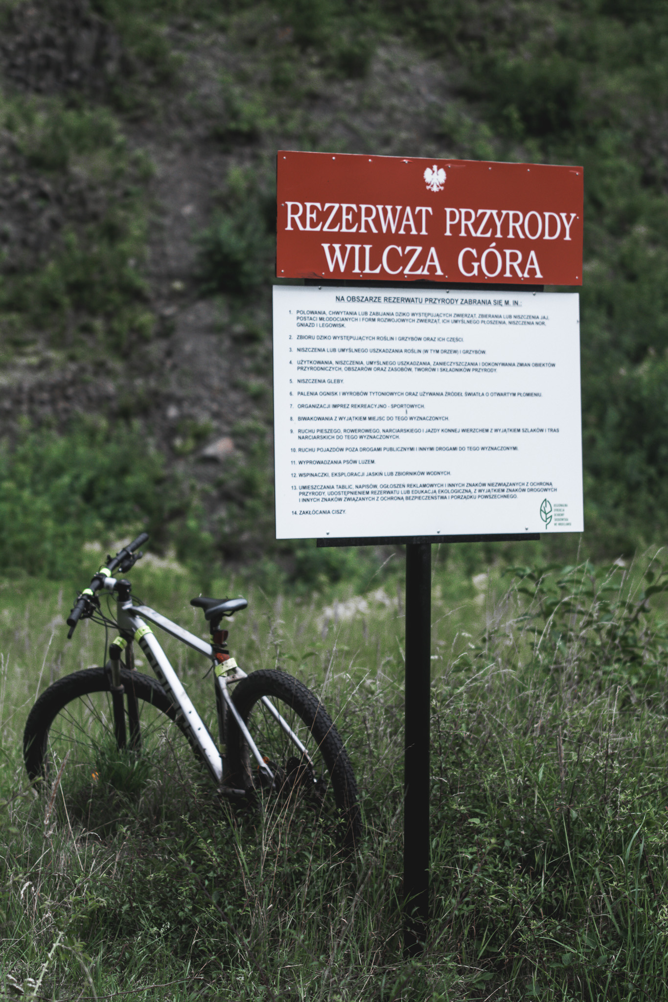 Wilcza Góra - Studio11 - noclegi i przyjęcia w Złotoryi