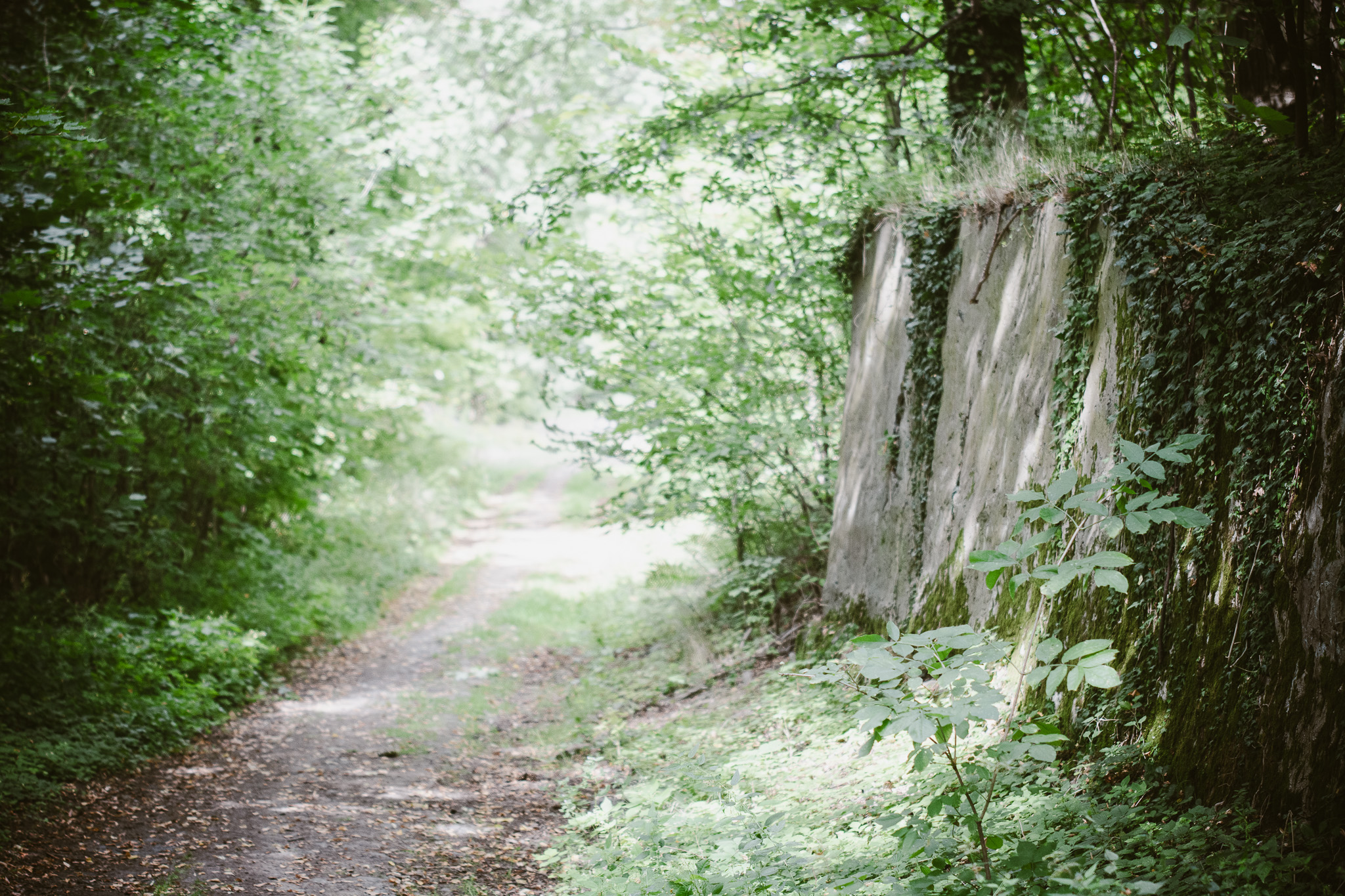 Wilcza Góra - Studio11 - noclegi i przyjęcia w Złotoryi